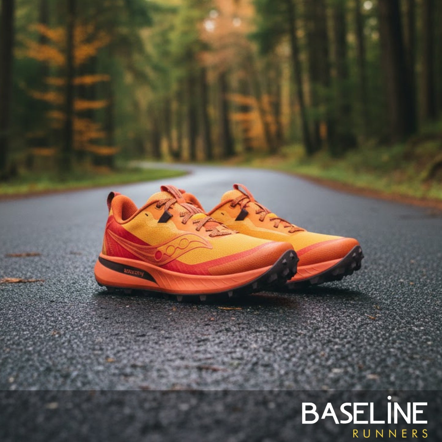 SAUCONY SHOE PEREGRINE 15 MN AUTUMN/AMBER/AMBRE (AW25)