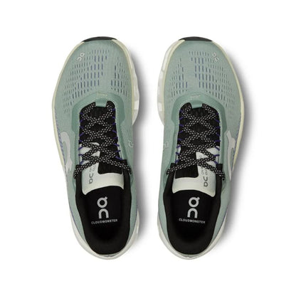 ON SHOE CLOUDMONSTER 2.0 WN (AW24)