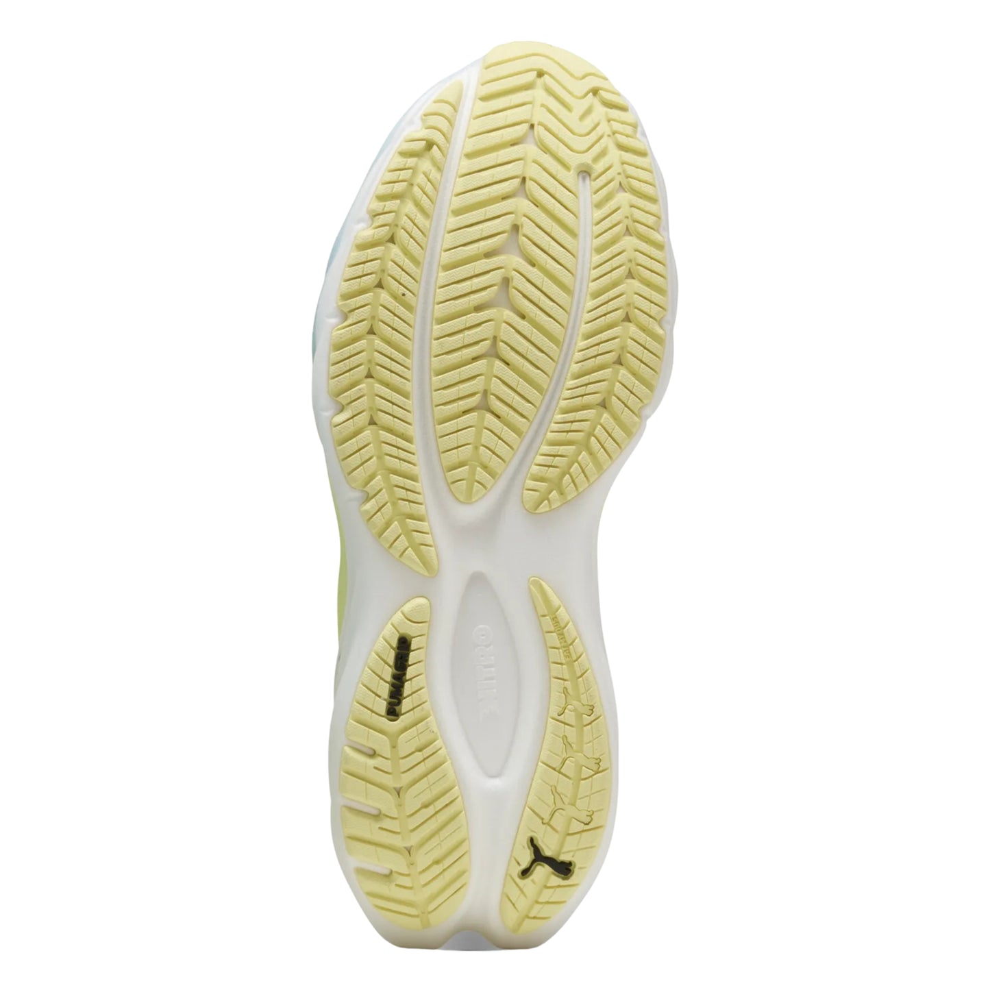 PUMA SHOE VELOCITY NITRO 4 WN SEA/GLASS/GOLD (AW25)