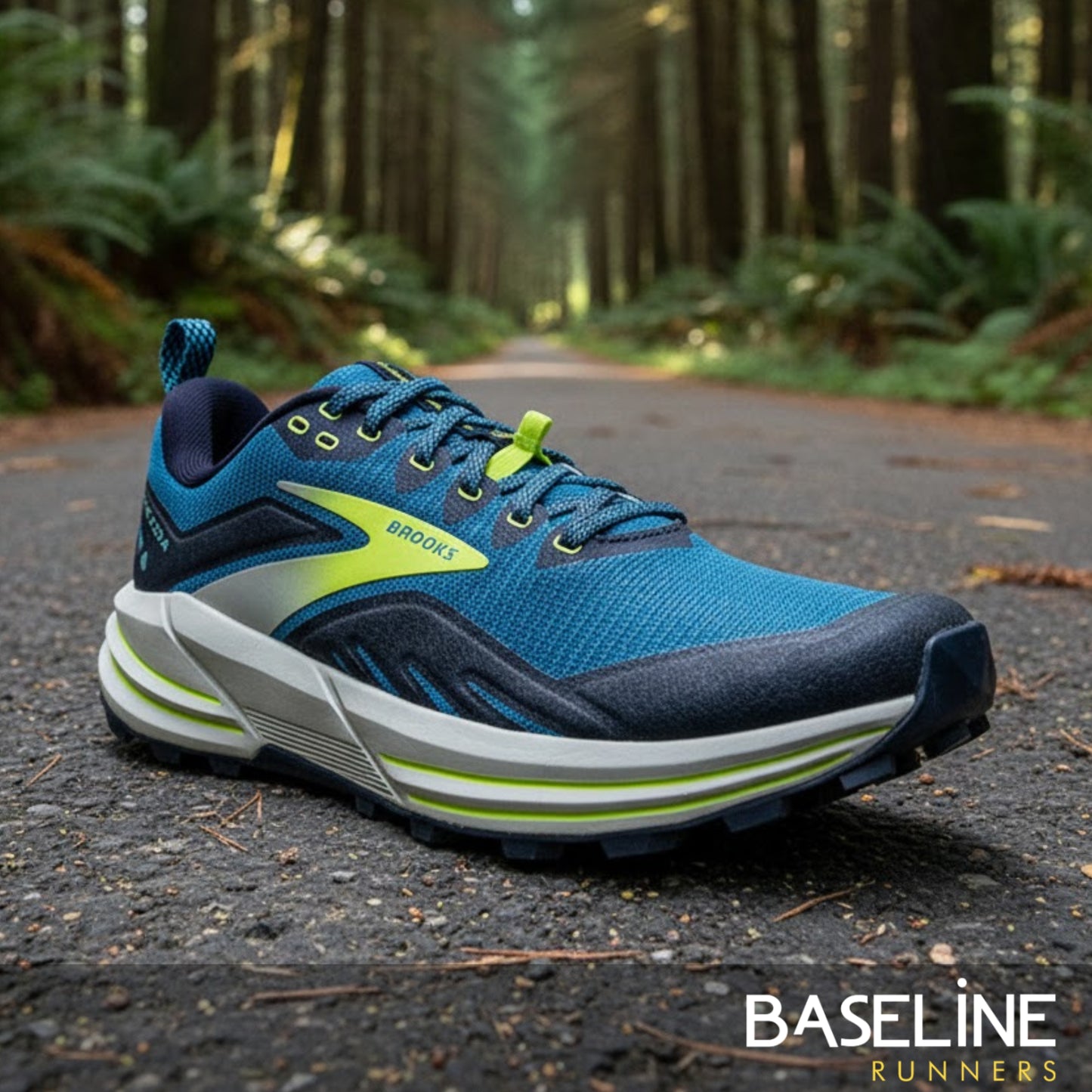 BROOKS SHOE CASCADIA 16 MN