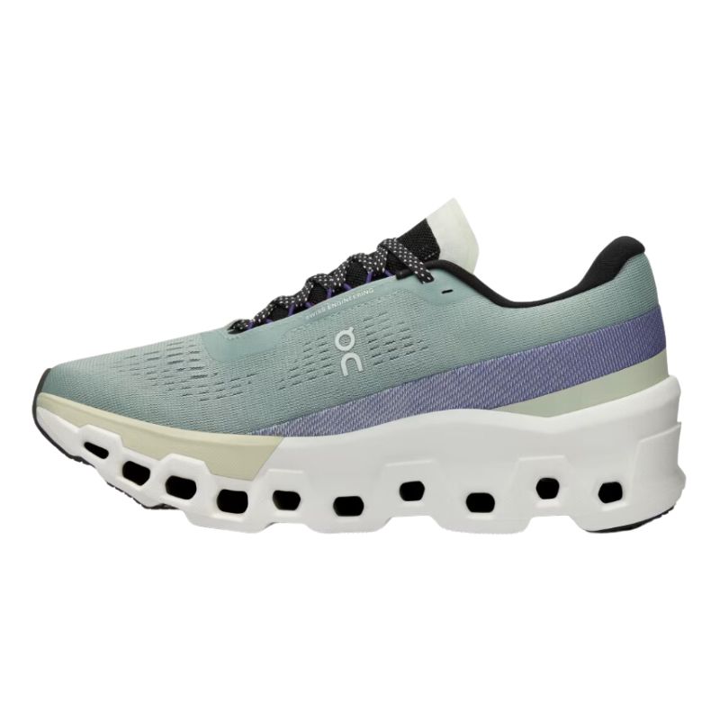 ON SHOE CLOUDMONSTER 2.0 WN (AW24)